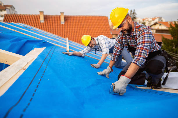 Best Roof Repair Services  in Spring Creek, NV