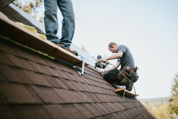 Best Roof Gutter Cleaning  in Spring Creek, NV