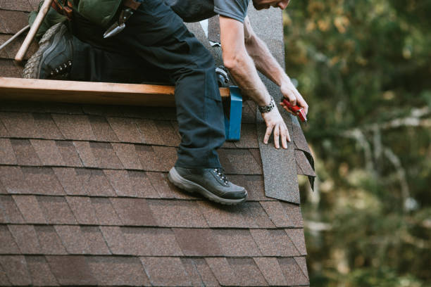 Best Metal Roofing Contractor  in Spring Creek, NV